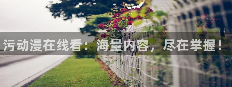 managereader漫画官网入口