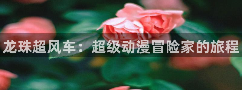 age动漫下载网
