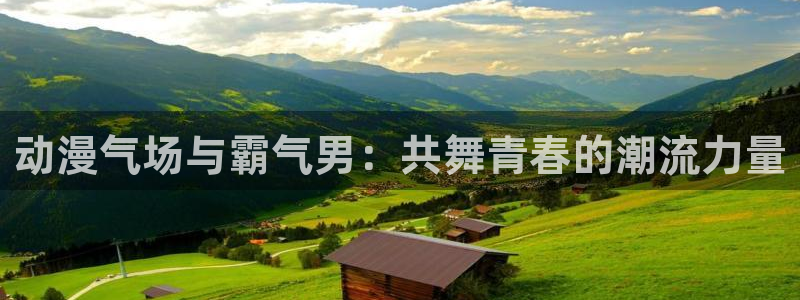 拷贝漫画 copymanager.ory网站