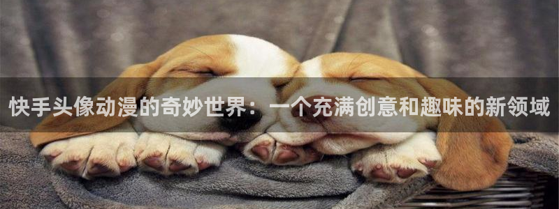 age专注动漫的门户网站