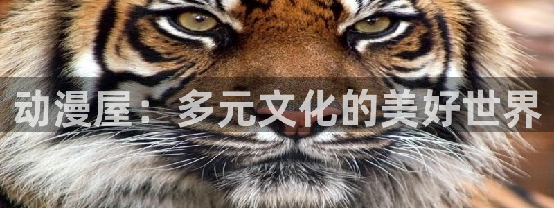 age动漫网下载