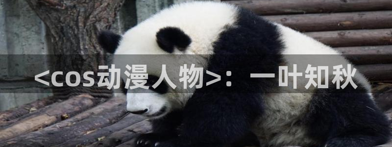 下载age动漫