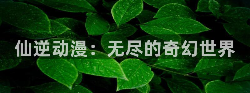 age动漫omofun
