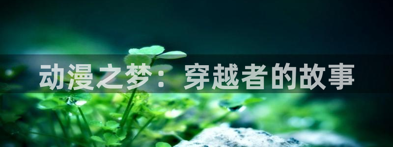age动漫网官网入口