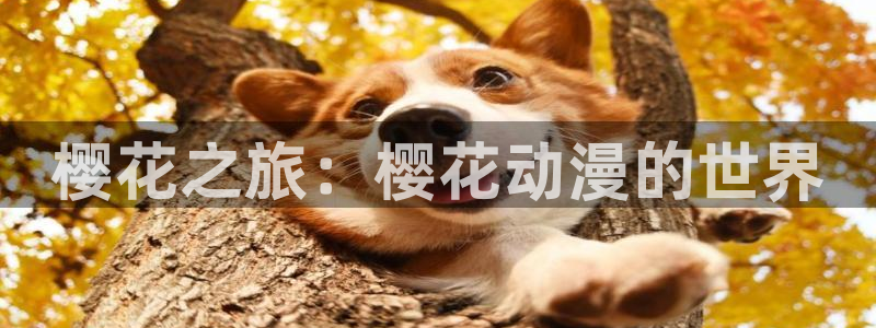 age动漫
