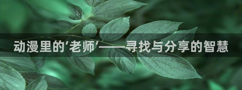 age动漫官网入口老版本