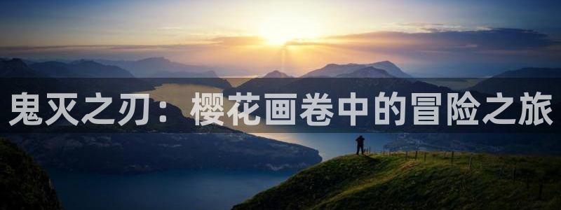 age专注动漫的门户网站