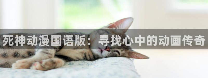 age动漫官网在线入口