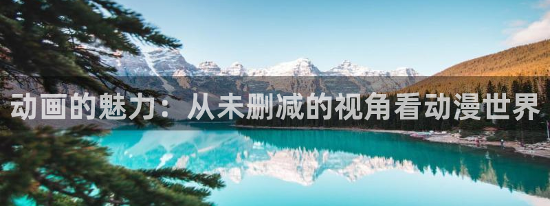 age动漫官网入口老版本