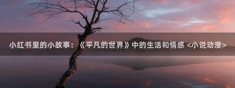 age动漫网上看
