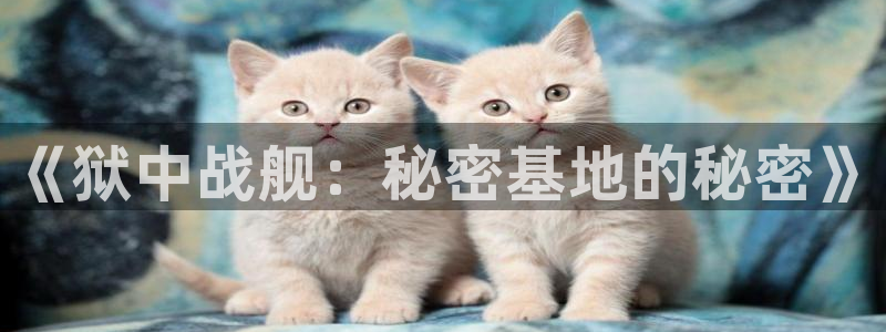 age动漫官网在线入口