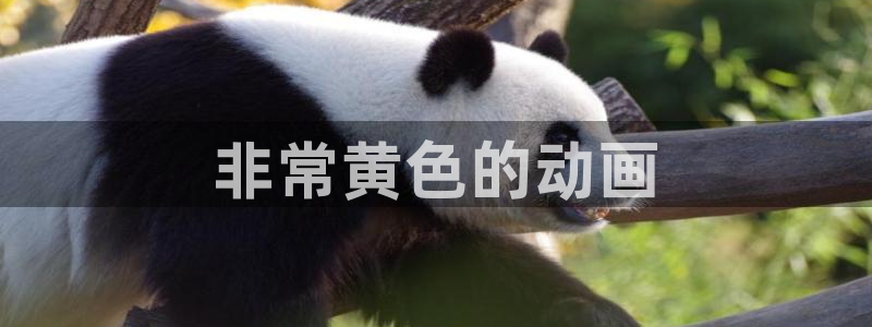 age动漫网