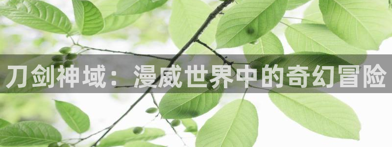 age动漫下载入口